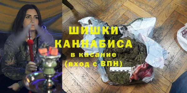 прущие грибы Балахна